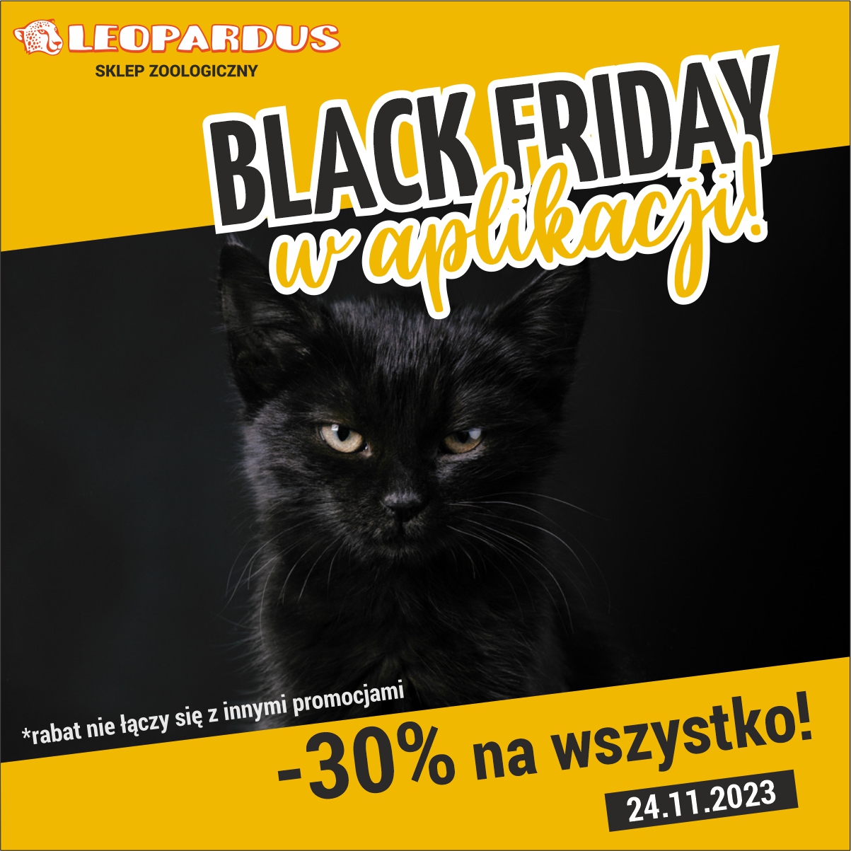 Leopardus, 🐶  Black Friday w Leopardus 🐱
